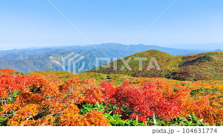 秋の栗駒山登山(産沼コース) 秋の栗駒山登山(産沼コース) 104631774