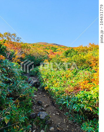 秋の栗駒山登山(産沼コース) 秋の栗駒山登山(産沼コース) 104631779