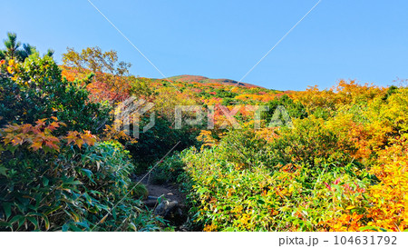 秋の栗駒山登山（産沼コース） 104631792