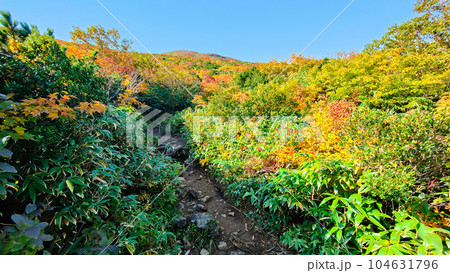秋の栗駒山登山(産沼コース) 秋の栗駒山登山(産沼コース) 104631796