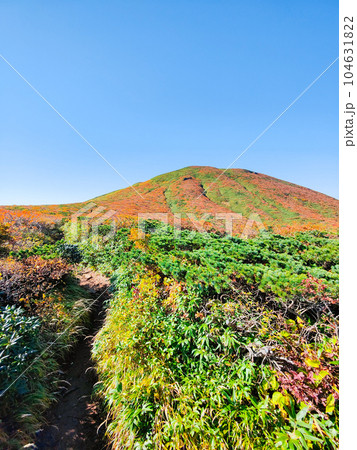 秋の栗駒山登山(産沼コース) 秋の栗駒山登山(産沼コース) 104631822