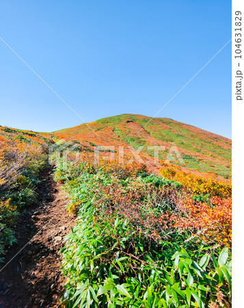 秋の栗駒山登山(産沼コース) 秋の栗駒山登山(産沼コース) 104631829
