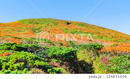 秋の栗駒山登山(産沼コース) 秋の栗駒山登山(産沼コース) 104631836