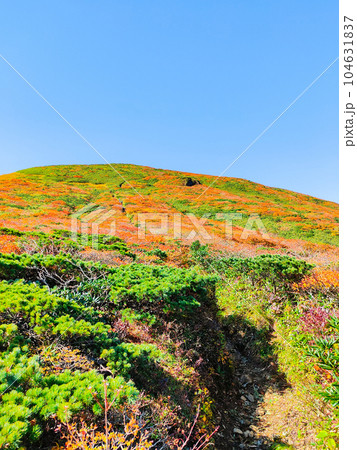 秋の栗駒山登山(産沼コース) 秋の栗駒山登山(産沼コース) 104631837