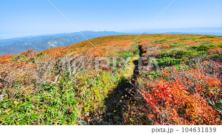 秋の栗駒山登山(産沼コース) 秋の栗駒山登山(産沼コース) 104631839