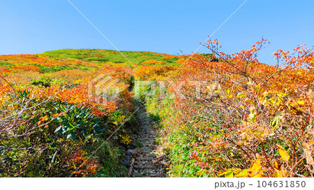 秋の栗駒山登山(産沼コース) 秋の栗駒山登山(産沼コース) 104631850