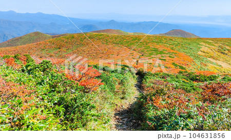 秋の栗駒山登山（産沼コース） 104631856