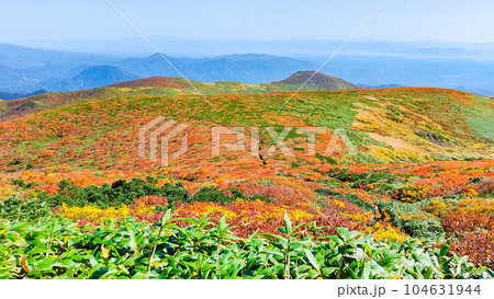 秋の栗駒山登山（産沼コース） 104631944