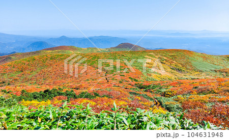 秋の栗駒山登山(産沼コース) 秋の栗駒山登山(産沼コース) 104631948