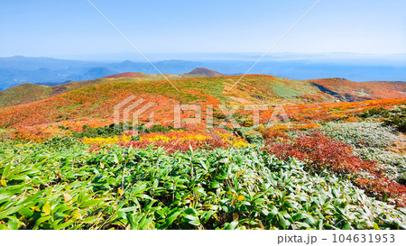 秋の栗駒山登山(産沼コース) 秋の栗駒山登山(産沼コース) 104631953