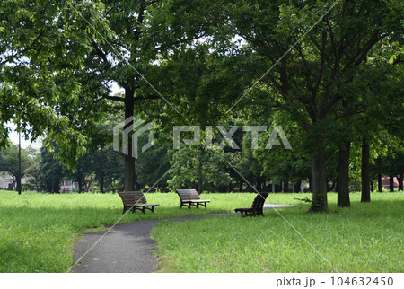 森の散歩道 104632450