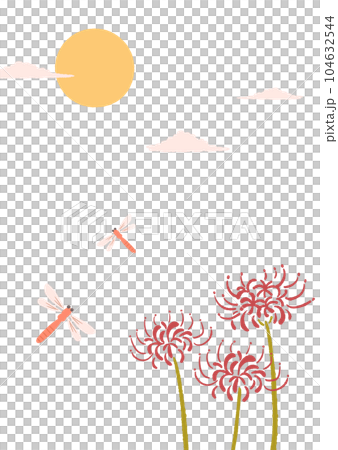 秋季紅蜻蜓和簇孤挺花圖 104632544