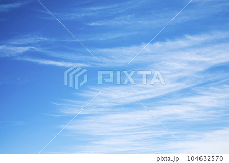 夏の空 青空 イメージ 【東京都】 夏の空 青空 イメージ 【東京都】 104632570