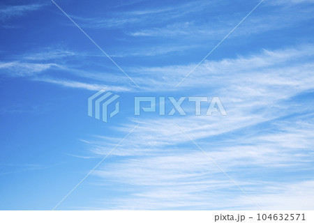 夏の空 青空 イメージ 【東京都】 夏の空 青空 イメージ 【東京都】 104632571