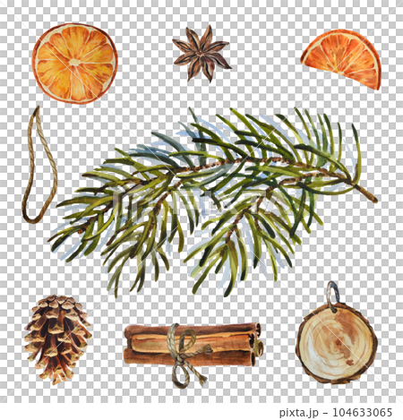 Watercolor Christmas set of fir branch with cones, dry oranges, sticks almond anise star. Hand painted holiday elements with winter plants isolated on white background. 104633065