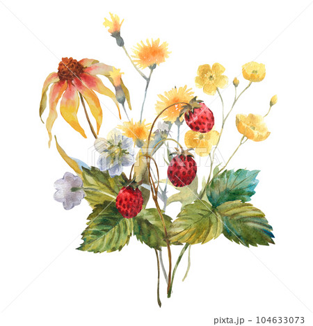 Watercolor bouquet of yellow echinacea flowers, yellow buttercup and strawberry. Template for invitations, postcards. 104633073