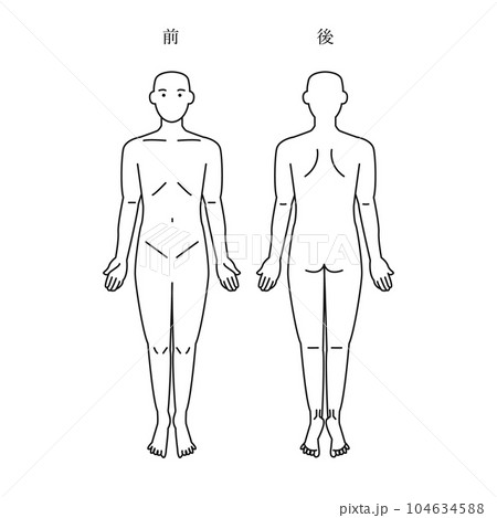 270+ Blank Human Body Diagram Stock Illustrations, Royalty-Free Vector  Graphics & Clip Art - iStock