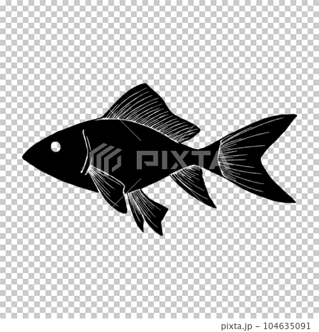 Goldfish (single item) / silhouette 104635091