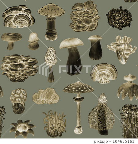 Vintage style mushroom seamless pattern. Graphic black and white illustration. Hand drawn various mushroom collection. Porcini, fly agaric, cordyceps, reishi, maitake, enoki fungi retro style pattern Vintage style mushroom seamless pattern. Graphic black and white illustration. Hand drawn various mushroom collection. Porcini, fly agaric, cordyceps, reishi, maitake, enoki fungi retro style pattern 104635163