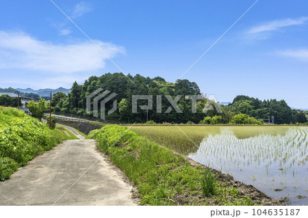 明日香村の田園風景 田植えの季節(奈良県明日香村) 明日香村の田園風景 田植えの季節(奈良県明日香村) 104635187