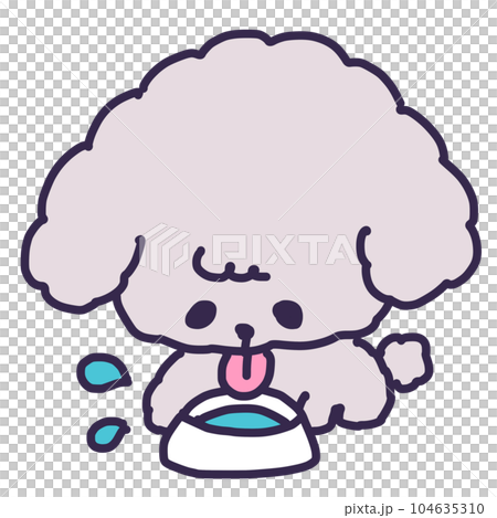 Illustration of a cute toy poodle puppy drinking water Illustration of a cute toy poodle puppy drinking water 104635310