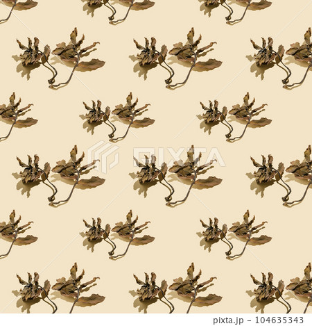 Dried leaves on a beige background. Autumn background. 104635343