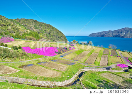 【田烏の棚田】 福井県小浜市田烏 104635346