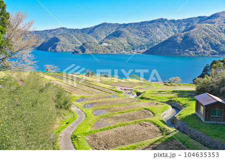 【田烏の棚田】 福井県小浜市田烏 104635353