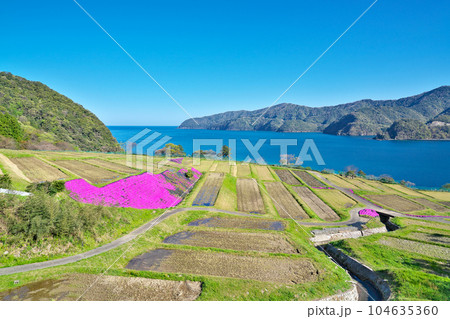 【田烏の棚田】 福井県小浜市田烏 104635360