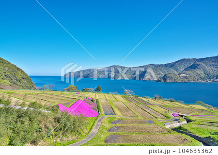 【田烏の棚田】 福井県小浜市田烏 104635362