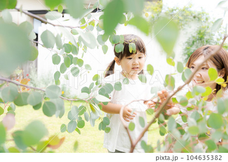 植物を見る親子の写真 104635382