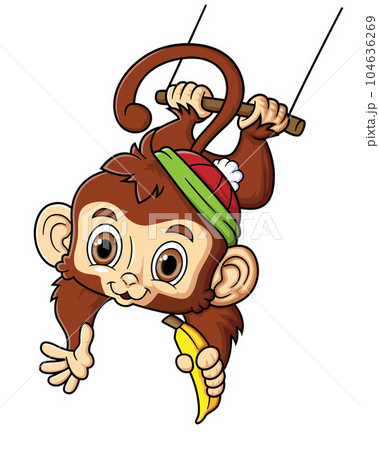 cute monkey swinging and holding banana of illustration cute monkey swinging and holding banana of illustration 104636269