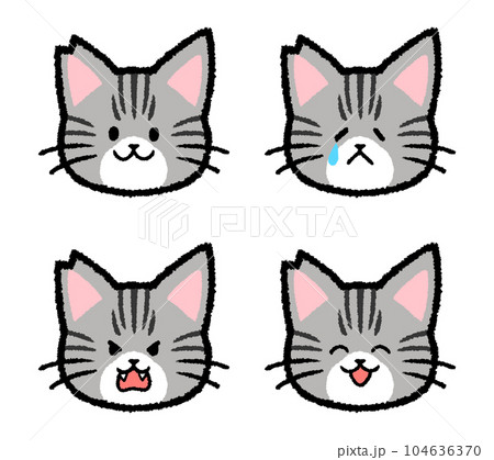 耳をカットされた雄のサバトラ猫の表情セット 耳をカットされた雄のサバトラ猫の表情セット 104636370