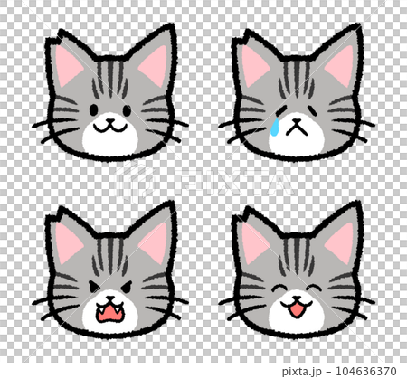 耳をカットされた雄のサバトラ猫の表情セット 耳をカットされた雄のサバトラ猫の表情セット 104636370