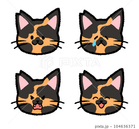 耳をカットされた雄のサビ猫の表情セット 耳をカットされた雄のサビ猫の表情セット 104636371