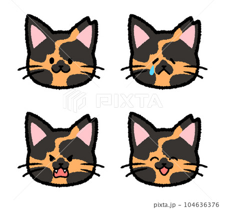 耳をカットされた雌のサビ猫の表情セット 104636376