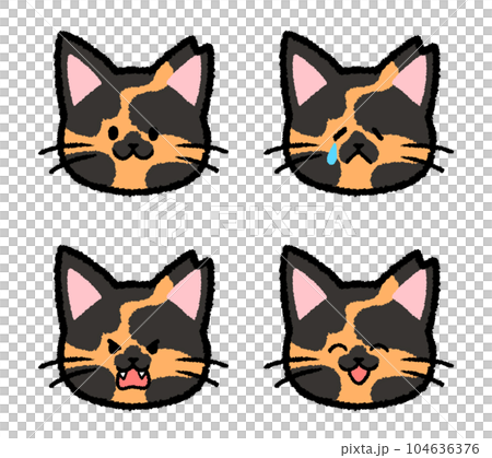 耳をカットされた雌のサビ猫の表情セット 104636376