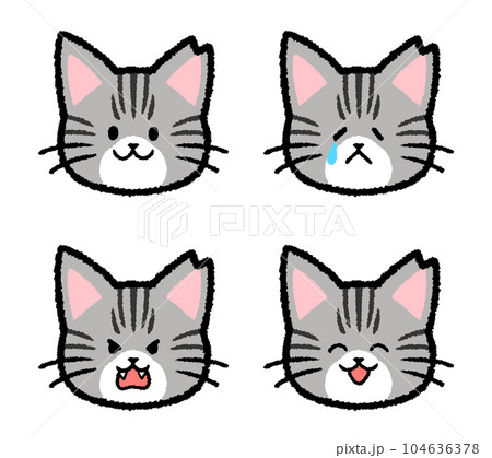 耳をカットされた雌のサバトラ猫の表情セット 104636378