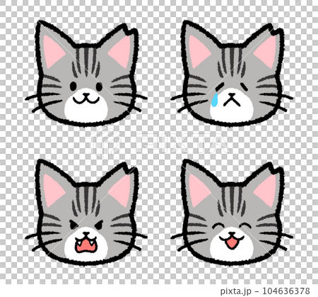 耳をカットされた雌のサバトラ猫の表情セット 104636378