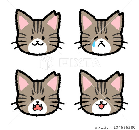 耳をカットされた雌のキジトラ猫の表情セット 104636380