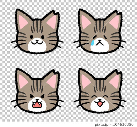 耳をカットされた雌のキジトラ猫の表情セット 104636380