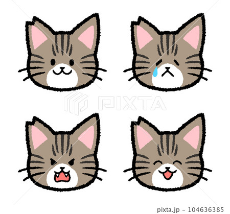 耳をカットされた雄のキジトラ猫の表情セット 104636385