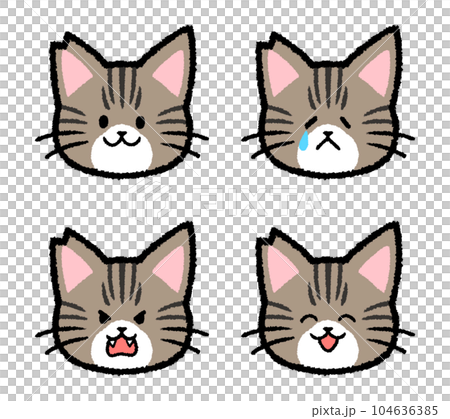 耳をカットされた雄のキジトラ猫の表情セット 104636385