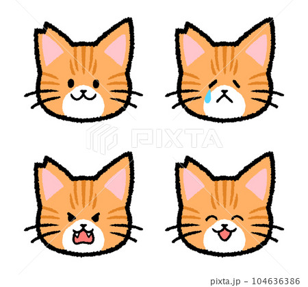 耳をカットされた雄の茶トラ猫の表情セット 104636386