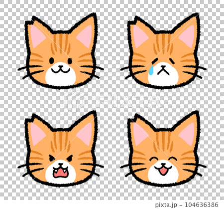 耳をカットされた雄の茶トラ猫の表情セット 104636386