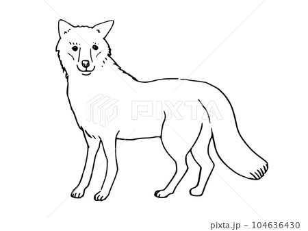 線画　シンプルイラスト　キツネ 104636430