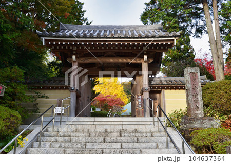 鎌倉　紅葉が美しい浄妙寺 104637364