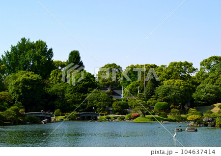熊本の観光名所 水前寺成趣園(水前寺公園) 熊本の観光名所 水前寺成趣園(水前寺公園) 104637414