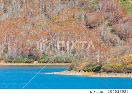 新潟湯沢町 紅葉の田代高原 田代湖 新潟湯沢町 紅葉の田代高原 田代湖 104637925