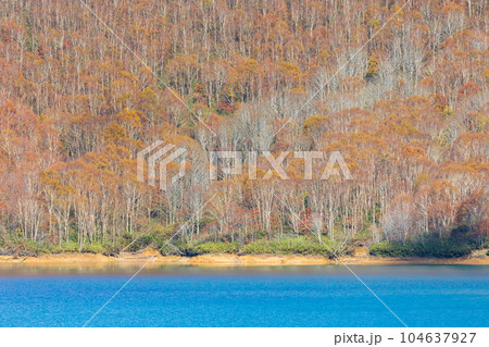 新潟湯沢町 紅葉の田代高原 田代湖 新潟湯沢町 紅葉の田代高原 田代湖 104637927